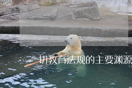 一切教育法规的主要渊源 一切教育法规的主要渊源