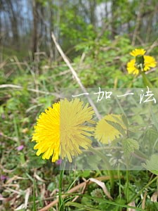 一加一法律援助2018 一加一法律援助2018