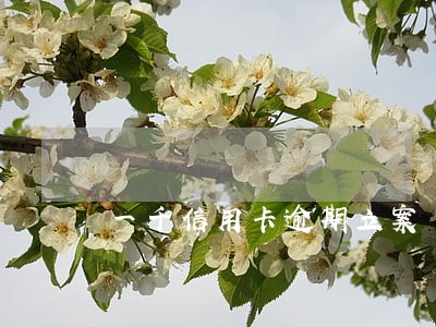一千信用卡逾期立案