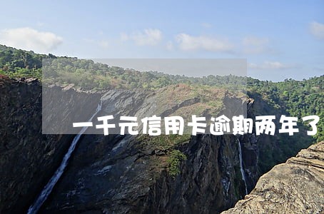 一千元信用卡逾期两年了