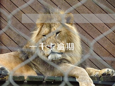 一千卡逾期