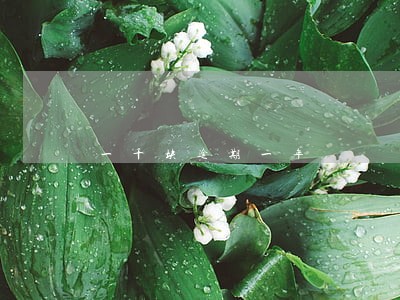 一千块逾期一年