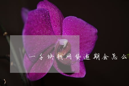 一千块钱网贷逾期会怎么样