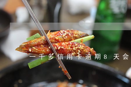 一千多信用卡逾期8天会上征信吗