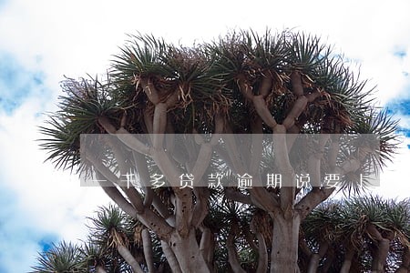 一千多贷款逾期说要上法庭 一千多贷款逾期说要上法庭