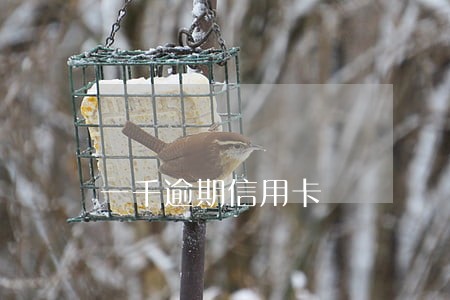 一千逾期信用卡