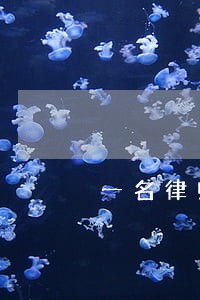 一名律师与雅阁的价值体认 一名律师与雅阁的价值体认