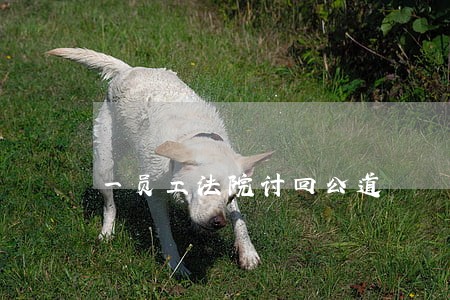 一员工法院讨回公道 一员工法院讨回公道