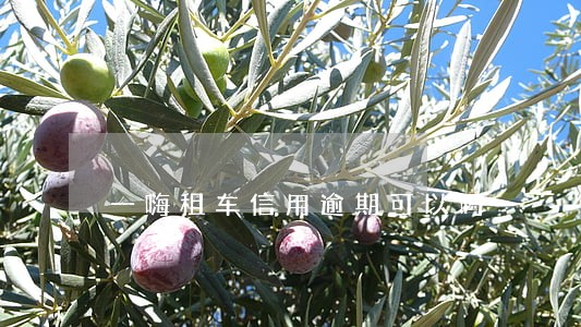 一嗨租车信用逾期可以吗 一嗨租车信用逾期可以吗