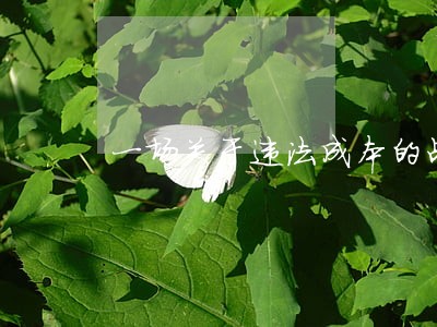 一场关于违法成本的战争 一场关于违法成本的战争
