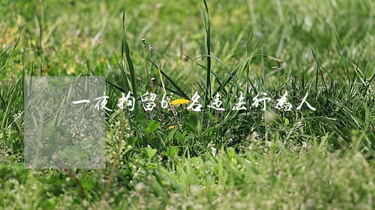 一夜拘留6名违法行为人 一夜拘留6名违法行为人