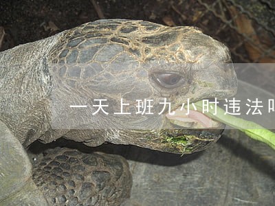 一天上班九小时违法吗