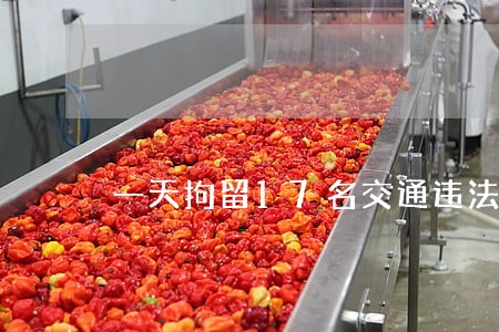 一天拘留17名交通违法者