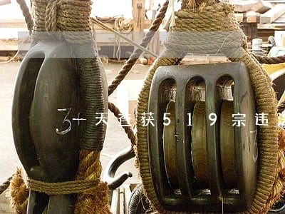 一天查获519宗违法 一天查获519宗违法