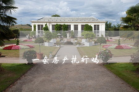 一套房产执行吗