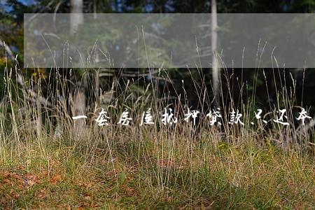 一套房屋抵押贷款只还本金 一套房屋抵押贷款只还本金