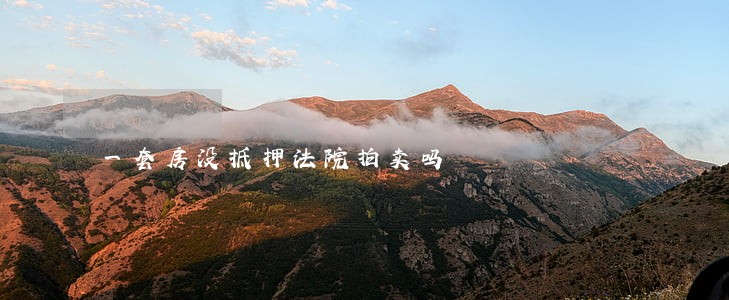 一套房没抵押法院拍卖吗 一套房没抵押法院拍卖吗