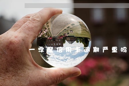 一季度信用卡逾期严重吗 一季度信用卡逾期严重吗