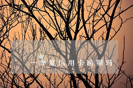 一季度信用卡逾期吗