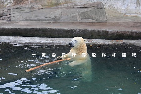 一定要先行政复议才能行政诉讼吗