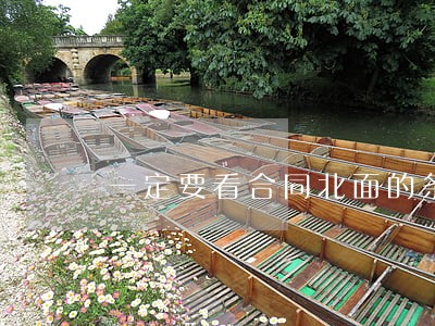 一定要看合同北面的条例 一定要看合同北面的条例