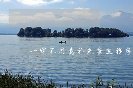 一审不同意补充鉴定程序违法