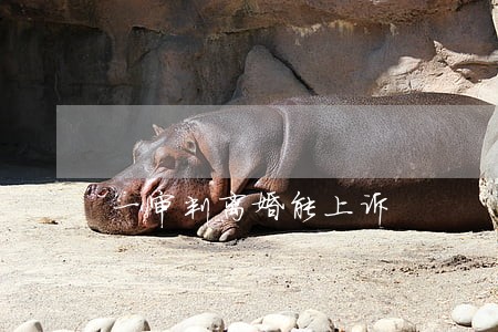 一审判离婚能上诉 一审判离婚能上诉