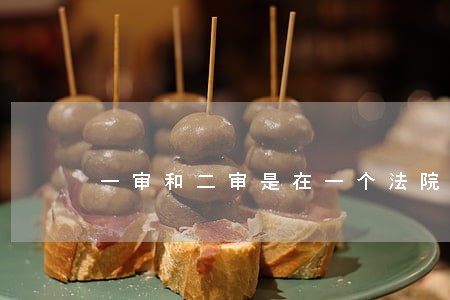 一审和二审是在一个法院吗