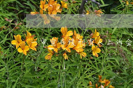 一审宣布缓刑有人上诉会影响吗 一审宣布缓刑有人上诉会影响吗