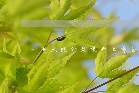 一审法院判处缓刑上诉会判实刑吗 一审法院判处缓刑上诉会判实刑吗