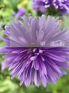 一审法院申诉 一审法院申诉