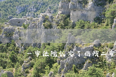 一审法院认定了伤残二审 一审法院认定了伤残二审