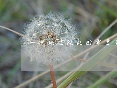 一审被法院驳回需要多少钱 一审被法院驳回需要多少钱