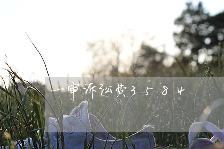 一审诉讼费3584 一审诉讼费3584