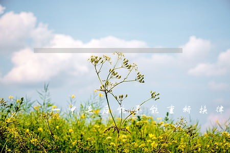 一审过后能不能重新换律师