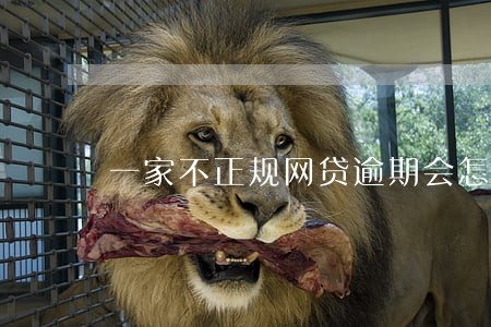 一家不正规网贷逾期会怎样