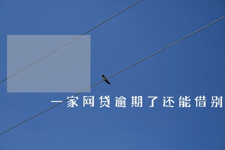 一家网贷逾期了还能借别家吗 一家网贷逾期了还能借别家吗