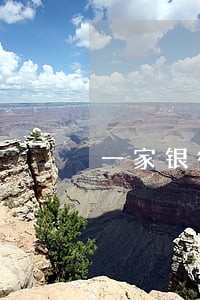 一家银行两张信用卡逾期要相加么 一家银行两张信用卡逾期要相加么