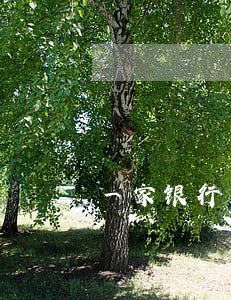 一家银行两张信用卡都逾期 一家银行两张信用卡都逾期