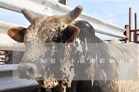 一家银行卡逾期影响其他家吗