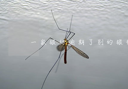 一家银行逾期了别的银行会划扣吗 一家银行逾期了别的银行会划扣吗