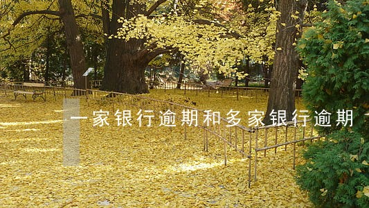 一家银行逾期和多家银行逾期