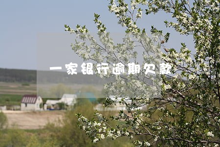 一家银行逾期欠款 一家银行逾期欠款