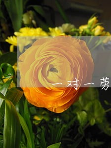 一对一劳动纠纷律师报价 一对一劳动纠纷律师报价