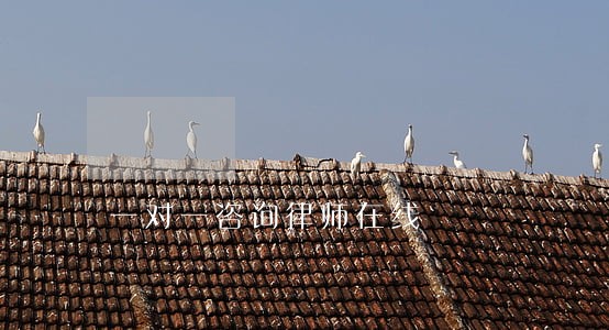 一对一咨询律师在线 一对一咨询律师在线