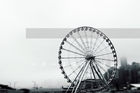 一对一法律咨询援助 一对一法律咨询援助