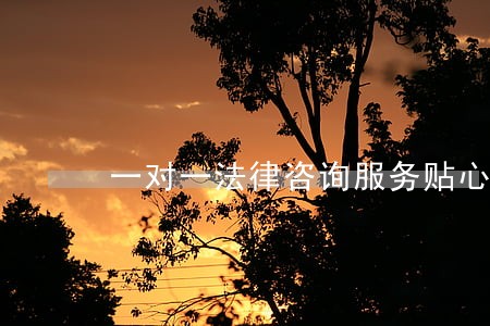 一对一法律咨询服务贴心 一对一法律咨询服务贴心