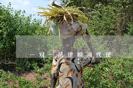 一对一法律顾问代理 一对一法律顾问代理
