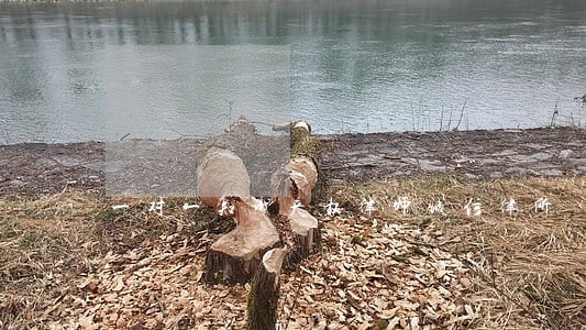 一对一知识产权律师诚信律所 一对一知识产权律师诚信律所