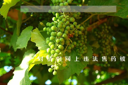 一对情侣网上违法售药被刑拘
